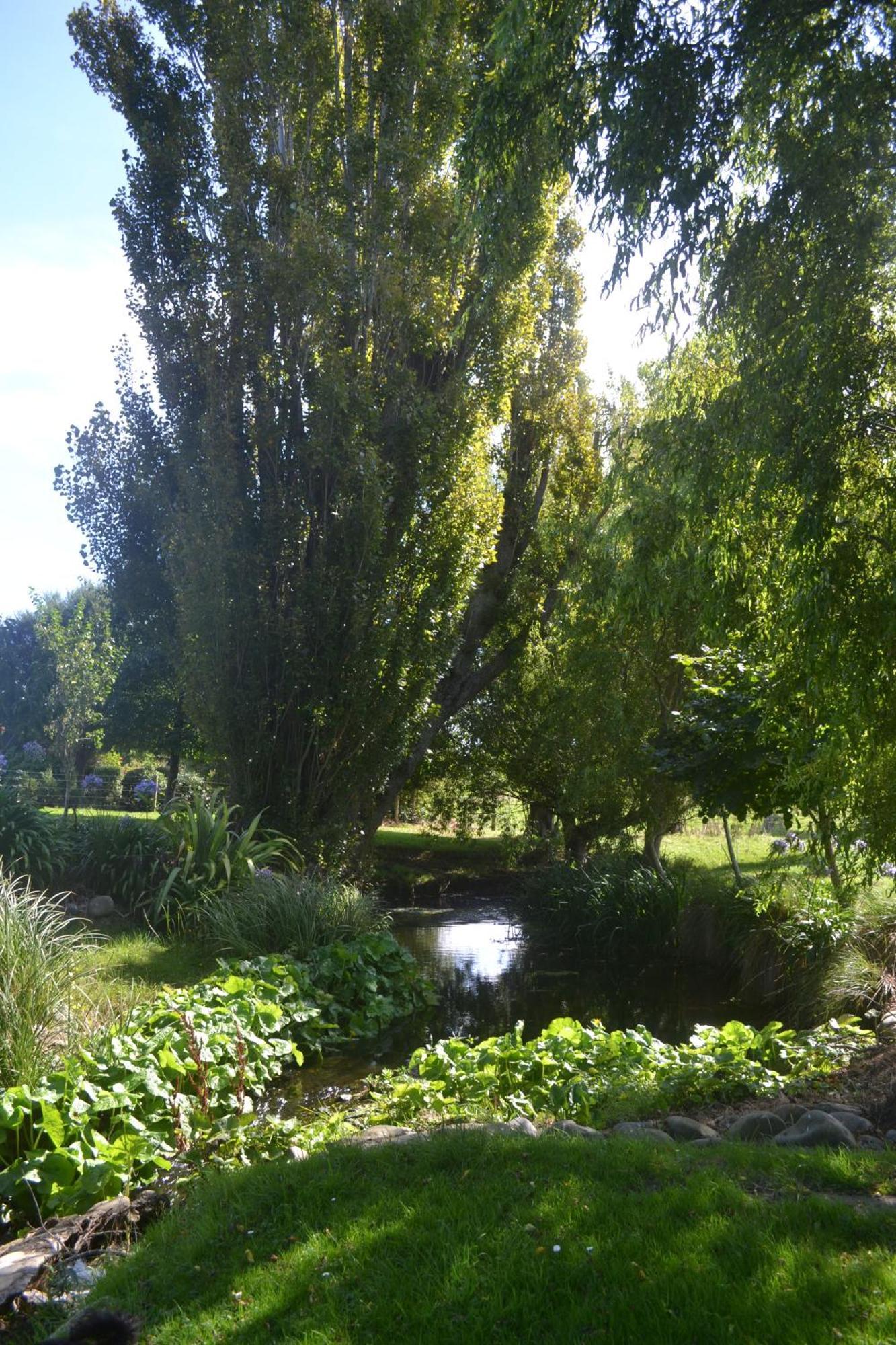 Highlands On Homestead Oamaru Ngoại thất bức ảnh