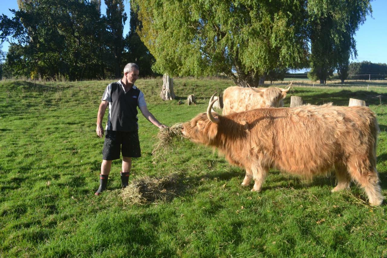 Highlands On Homestead Oamaru Ngoại thất bức ảnh