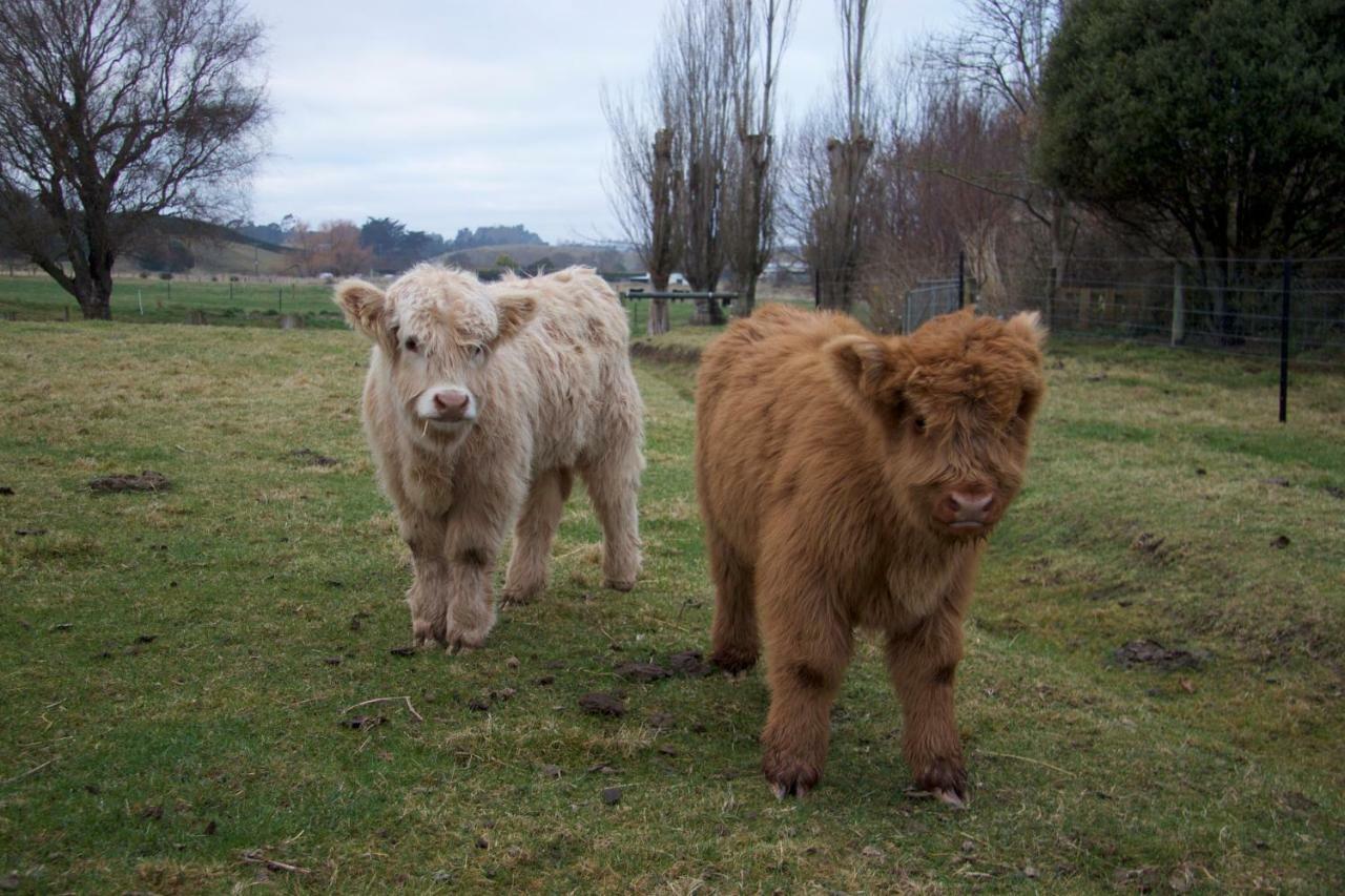 Highlands On Homestead Oamaru Ngoại thất bức ảnh