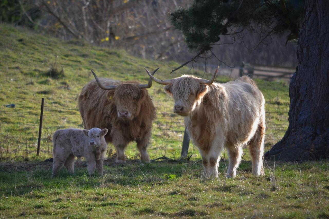 Highlands On Homestead Oamaru Ngoại thất bức ảnh